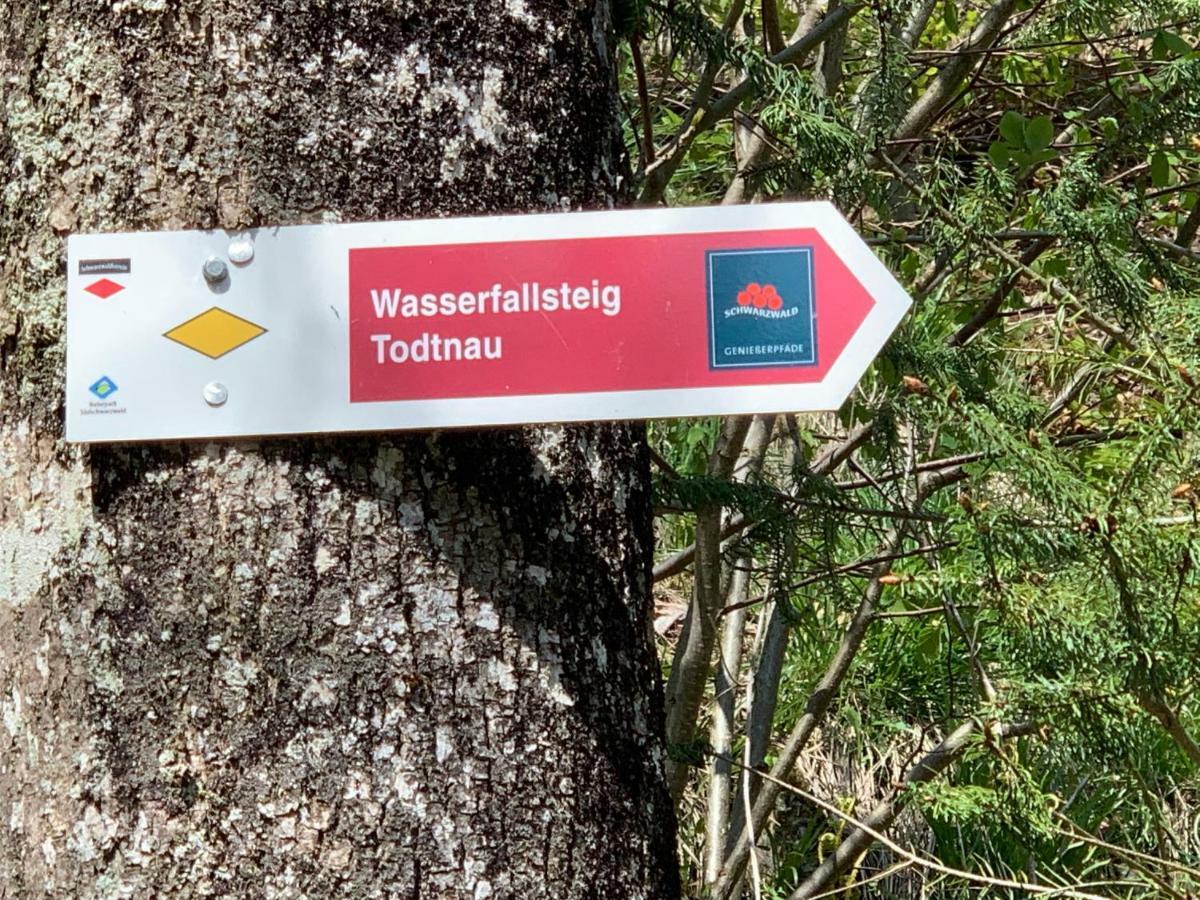 Haus Am Sonnenberg,Todtnauberg, Ferienwohnung 105, Direkt Am Skilift-Skipiste, Naehe Feldberg Exterior foto